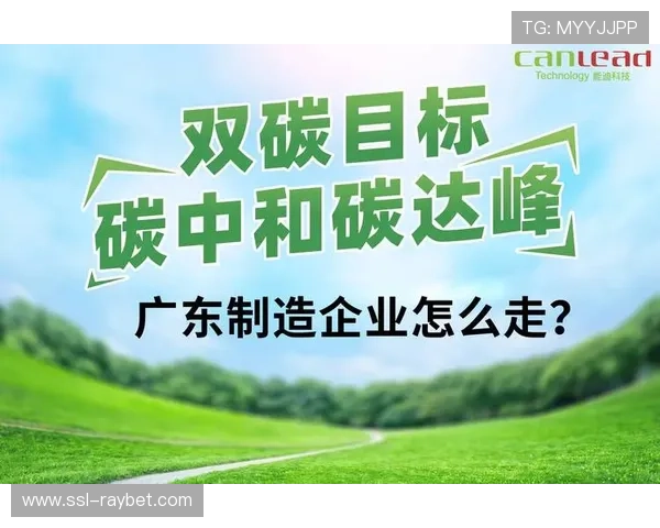 统筹流程聚焦低碳目标，推动可持续发展