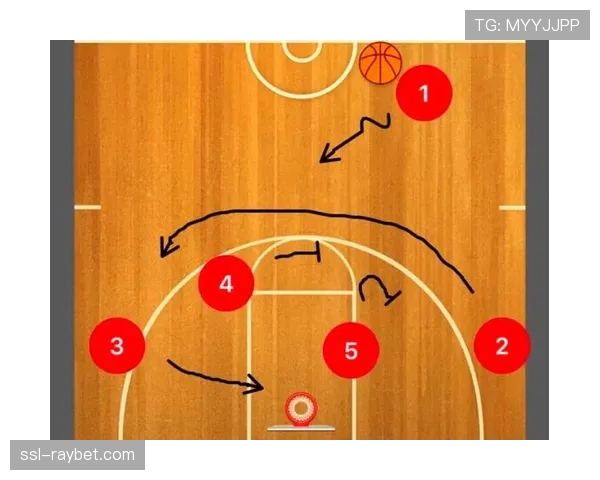 数据分析：对比自由人与王牌两队主要得分区域，揭示战术倾向差异